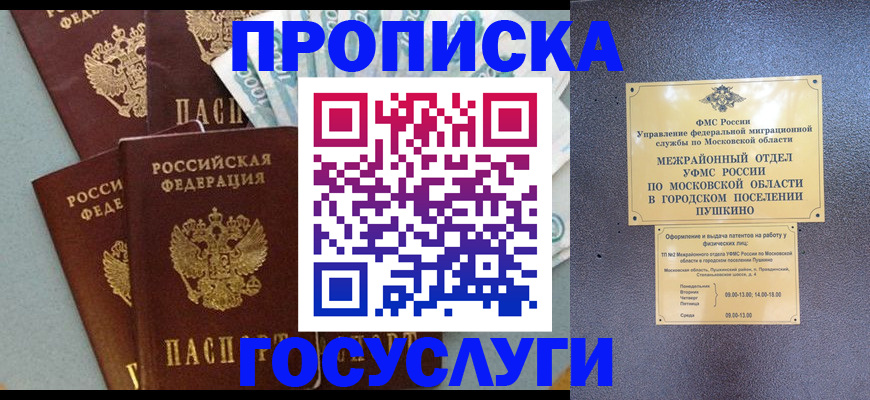 прописка гарантия в Приозерске